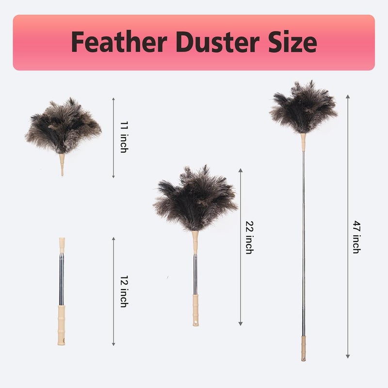 Cede noo Extendable Ostrich Feather Duster, Natural Ostrich Feathers Long Handle Duster for Cleaning, 47” Soft & Fluffy Feather Duster for High Ceilings, Fans, Walls, Furniture, Home Dusting - Image 5